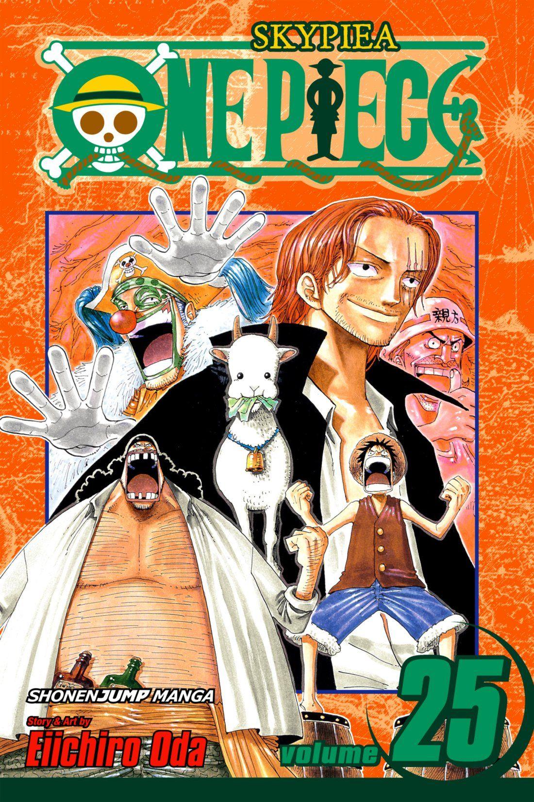 One Piece 25