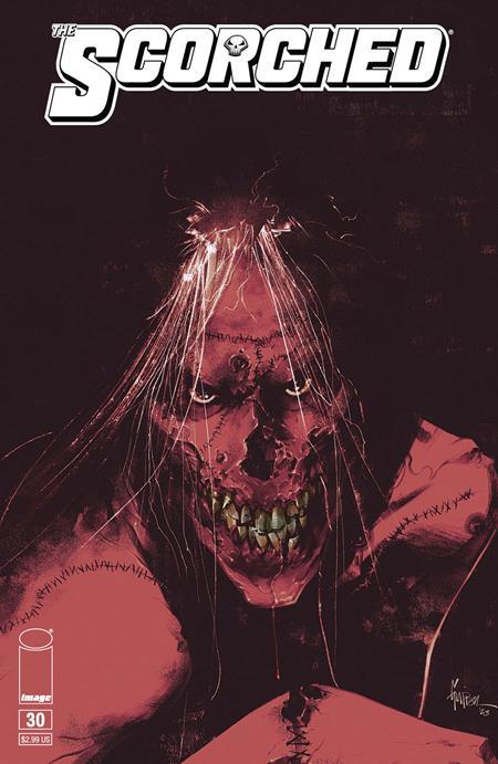 The Scorched #30 cover B