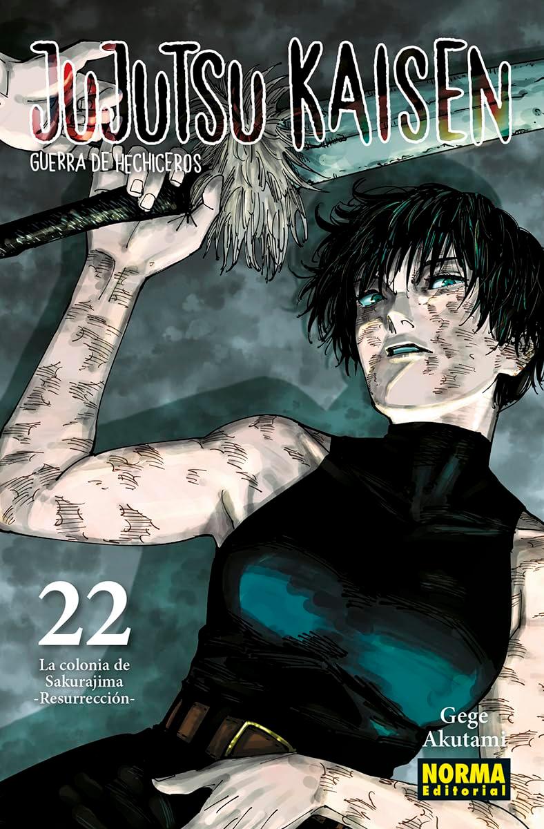 Jujutsu Kaisen Volume 22