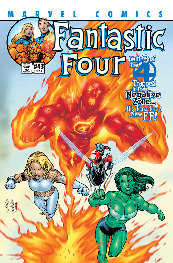 Fantastic Four #43 (2001)