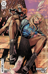 Birds of Prey #18 Cover B Serg Acuña