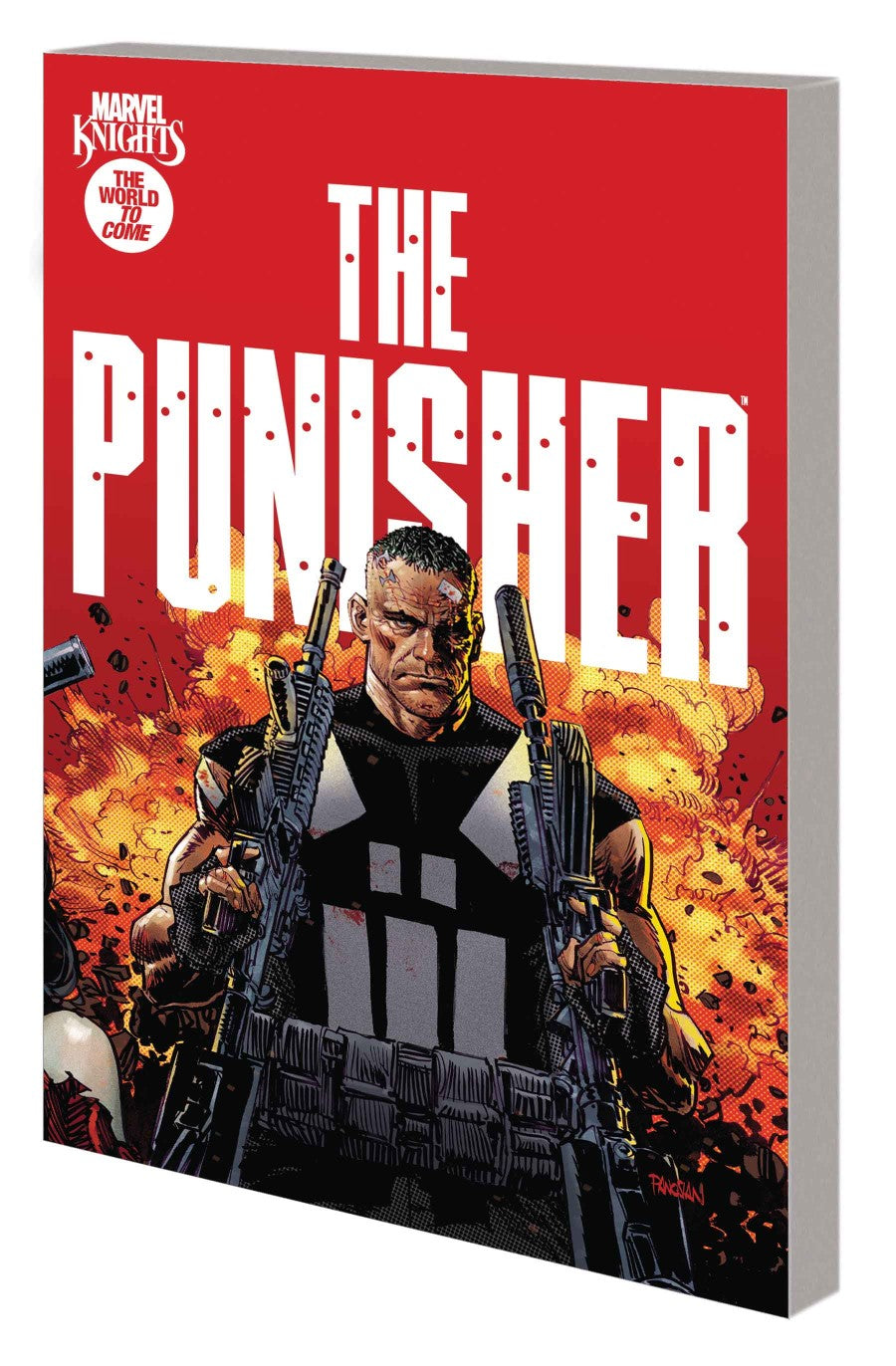 Marvel Knights: Punisher TP